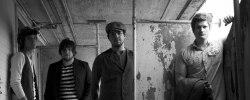 New Artist Spotlight: Seabird