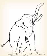 Rambo's Elephant-size Problem