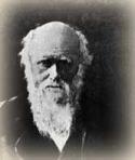 19th Century