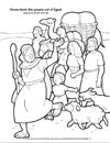 Activity 13
