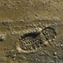 Walking Where Darwin Walked