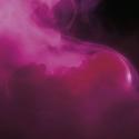The Fetus as Organ Factory: The Next Moral Frontier?