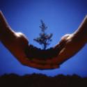 Getting Gaia's Goat: Advice for the Eco-Conscious