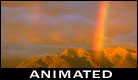 ECard Animation