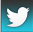 Twitter Share