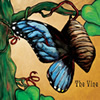 The Vine