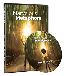 Marvelous Metaphors DVD Study Set