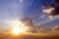 John MacArthur's Sermon Archive