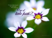 Free Desktop Scripture Wallpapers