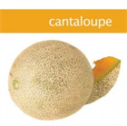 Cantaloupe