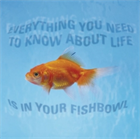 Everything You Need to Know About Life is in Your Fishbowl