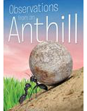 Observations from an Anthill