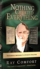 Nothing Created Everything