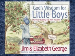 God’s Wisdom for Little Boys Book