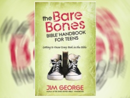 "The Bare Bones Bible Handbook for Teens" Book