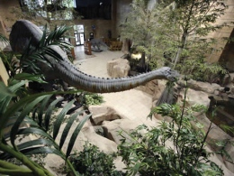 Free Fact Sheet on the Creation Museum