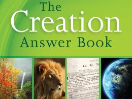 The Creation Answer Book