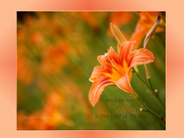 Free Desktop Scripture Wallpapers