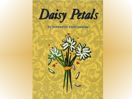 "Daisy Petals"