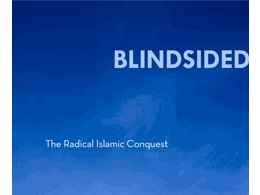 Blindsided