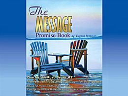 The Message Promise Book  Series #2 CD