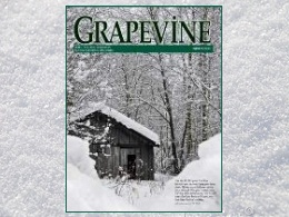 "The Grapevine" Winter 2012 Issue