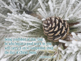Free Proverbs 31 Ministry Wallpaper