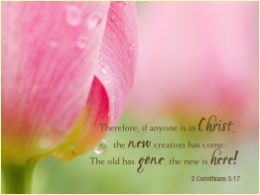 Free Proverbs 31 Ministry Wallpaper