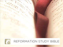 The Reformation Study Bible