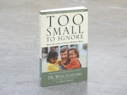 Too Small to Ignore