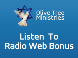 Web Bonus