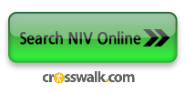 Search the Bible