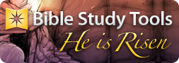Online Bible Study Tools
