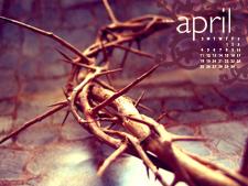 April 2010 Crown of Thorns