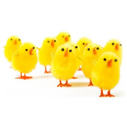 Easter: Love Beyond Logic