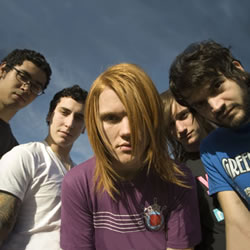 Ask Your Favorite Artist: The Almost