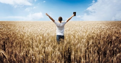 7 Bible Reading Plans for 2015