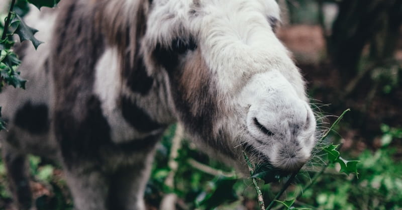 7 Reasons We Have Trouble with Gluttony (and 4 Tips to Help Us Win Over It!)