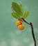 Revisiting Discipleship (Fruit That Remains)
