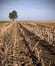 Studying Mark's Gospel: Preparing Our Heart’s Soil
