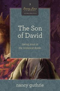 Son of David Book