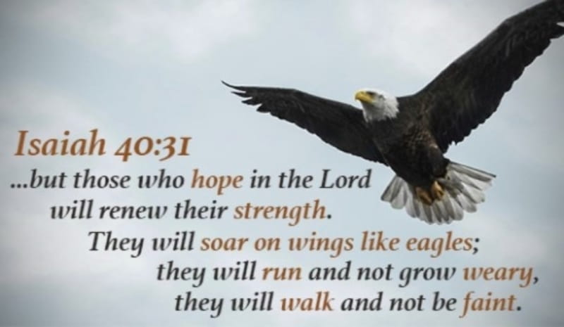 Image result for soar on wings like eagles verse