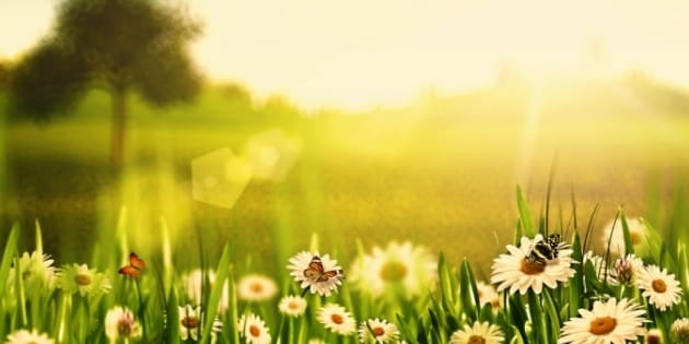 The Greatest Earth Day
