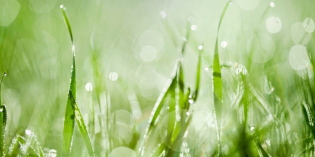 God Provides, Even When We Can't See It