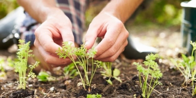 4 Ways Theology Is Practical for Everyday Life