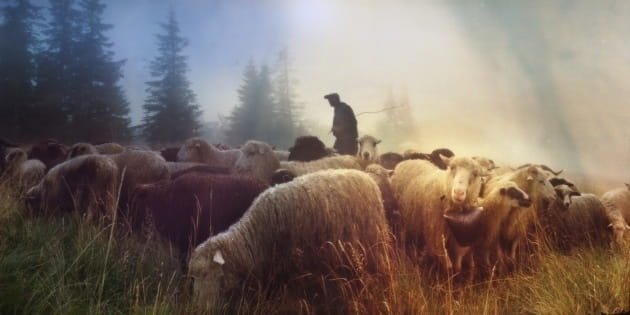 Why We're Not Impressed with Gentleness (And Why We Should Be)