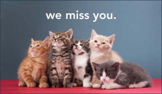 Free Miss You eCard - eMail Free Personalized Miss You Cards Online