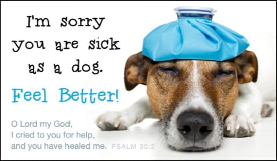 Free Feel Better eCard - eMail Free Personalized Get Well Cards Online