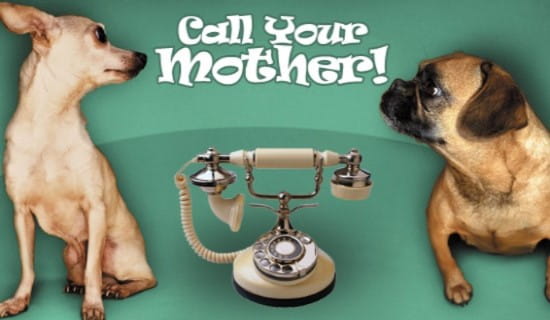 Free Call Your Mother Ecard Email Free Personalized Just For Fun