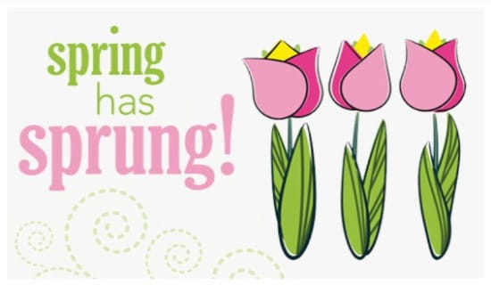 Spring Has Sprung ECard - Free Spring Cards Online